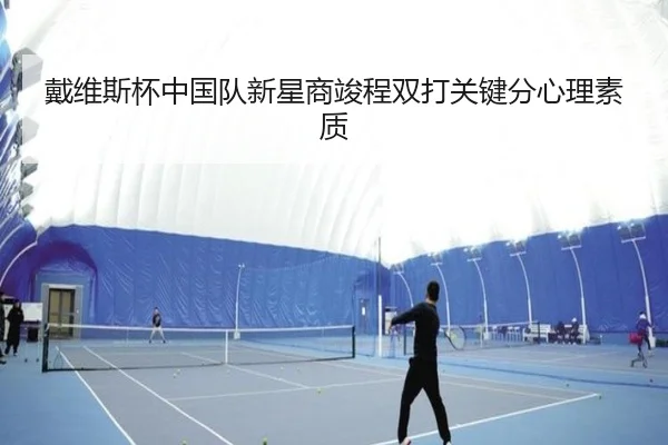 dai-wei-si-bei-zhong-guo-dui-xin-xing-shang-jun-cheng-shuang-da-guan-jian-fen-xin-li-su-zhi-3-663.jpg