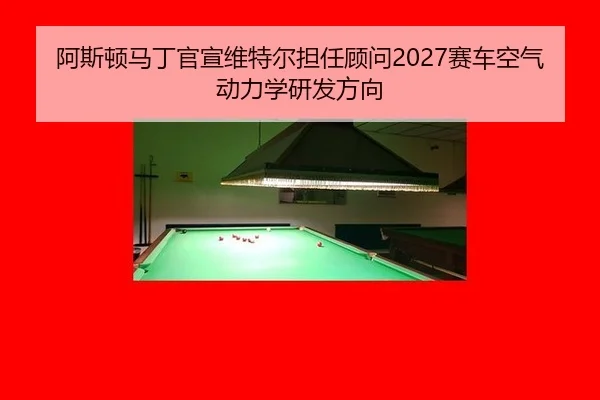 a-si-dun-ma-ding-guan-xuan-wei-te-er-dan-ren-gu-wen-sai-che-kong-qi-dong-li-xue-yan-fa-fang-xiang-3-417.jpg