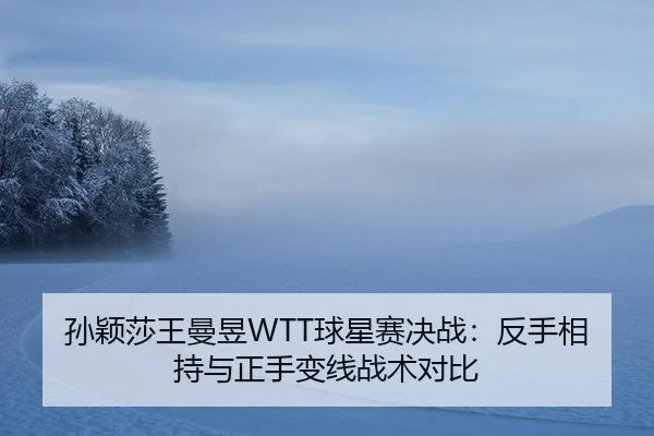 孙颖莎王曼昱WTT球星赛决战：反手相持与正手变线战术对比